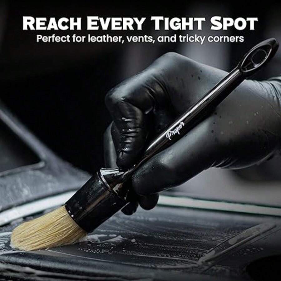 Juego de 5 cepillos para detal - Detailing Brush Set reseña y precio